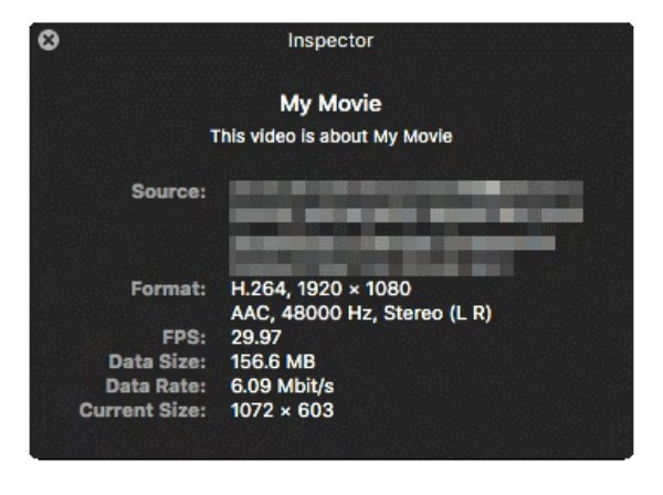 检查器详细信息 Mac